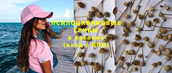 эйфоретик Надым