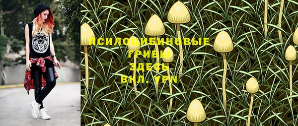 стафф Нефтекумск