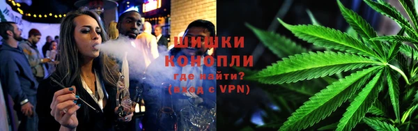 ПСИЛОЦИБИНОВЫЕ ГРИБЫ Бердск