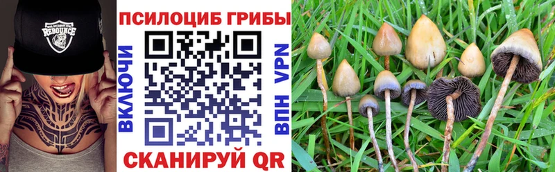 Галлюциногенные грибы мухоморы  Никольское 